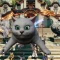 Catbombing our guild screenshot